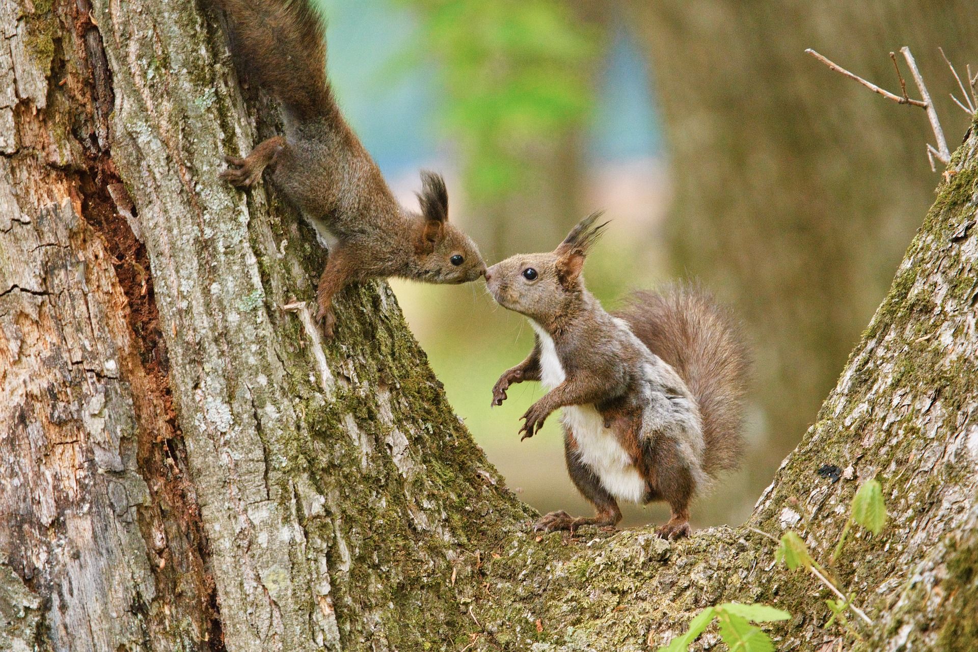 Familie im Wald für (Groß-) Eltern und Kinder ab 5 Jahren