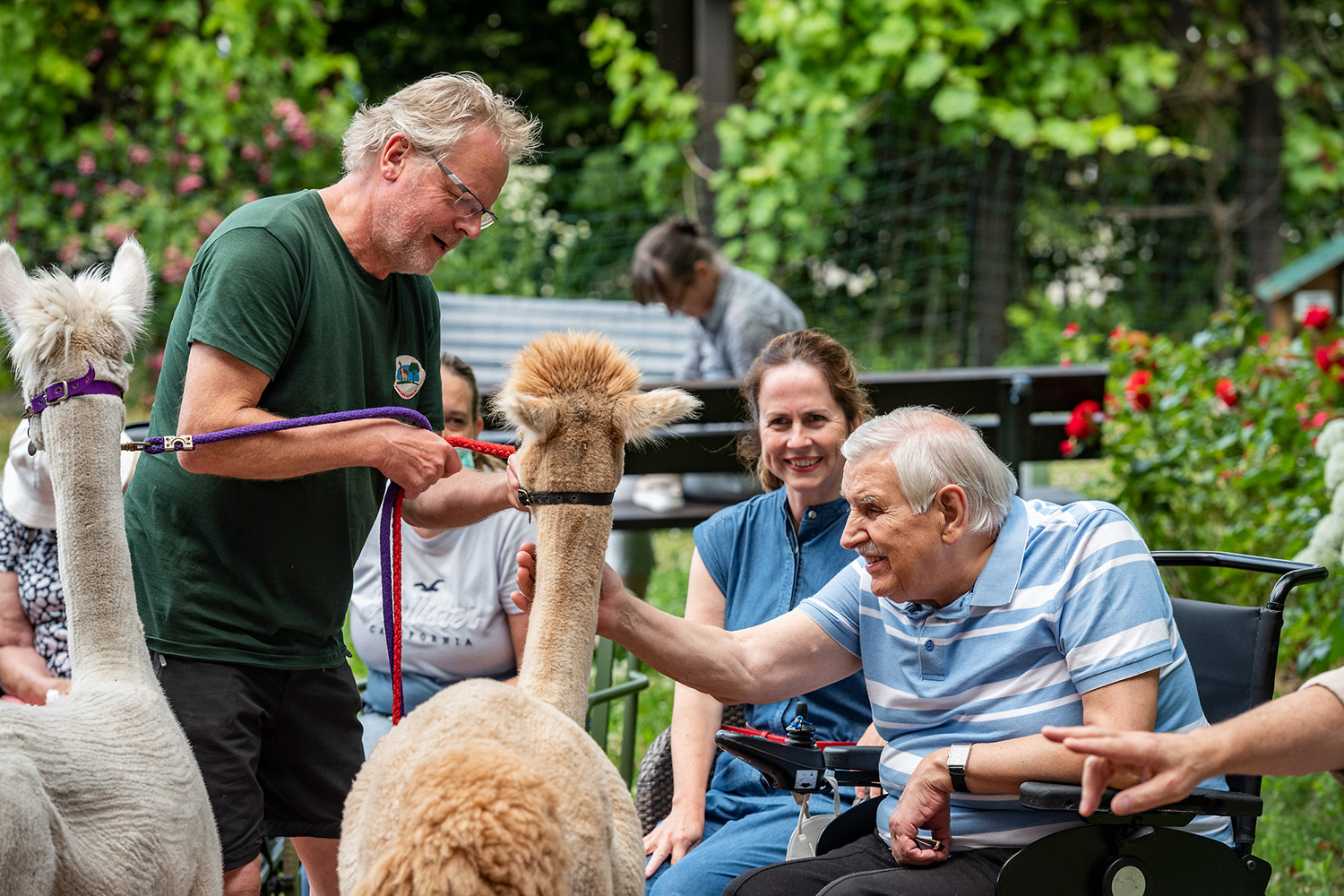 Flauschiger Besuch im Stammhaus Kaiserwerth