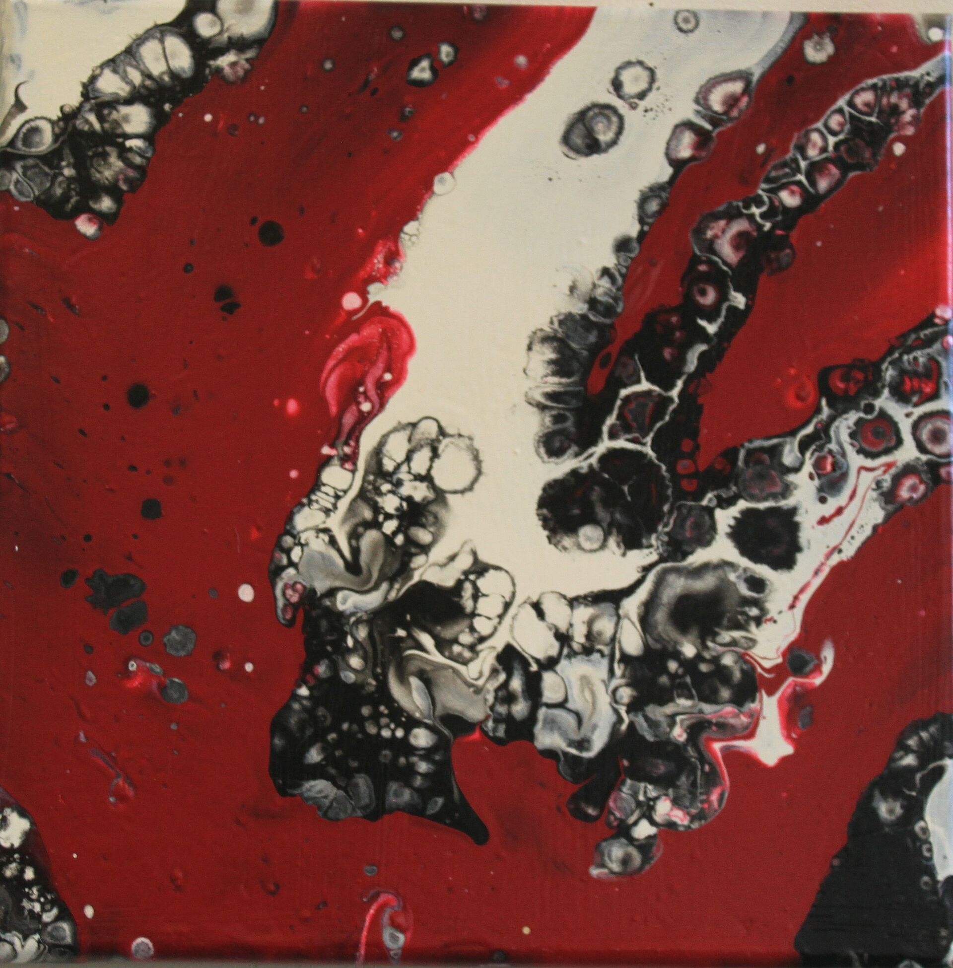 C058 Cora