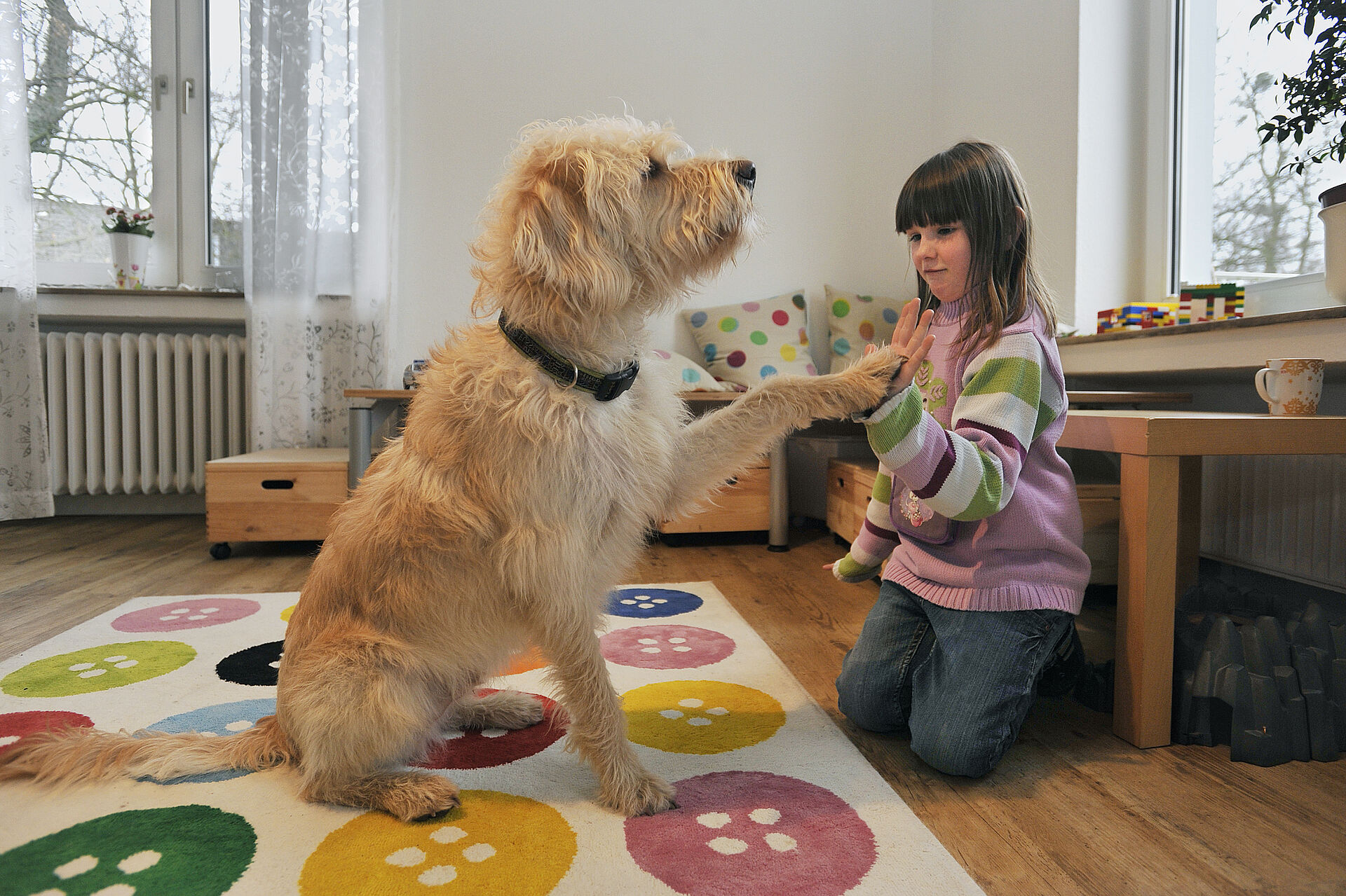 Ein Mädchen spielt mit einem Therapiehund