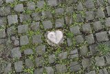 Zwischen Pflastersteinen ist ein Herz eingelassen worden