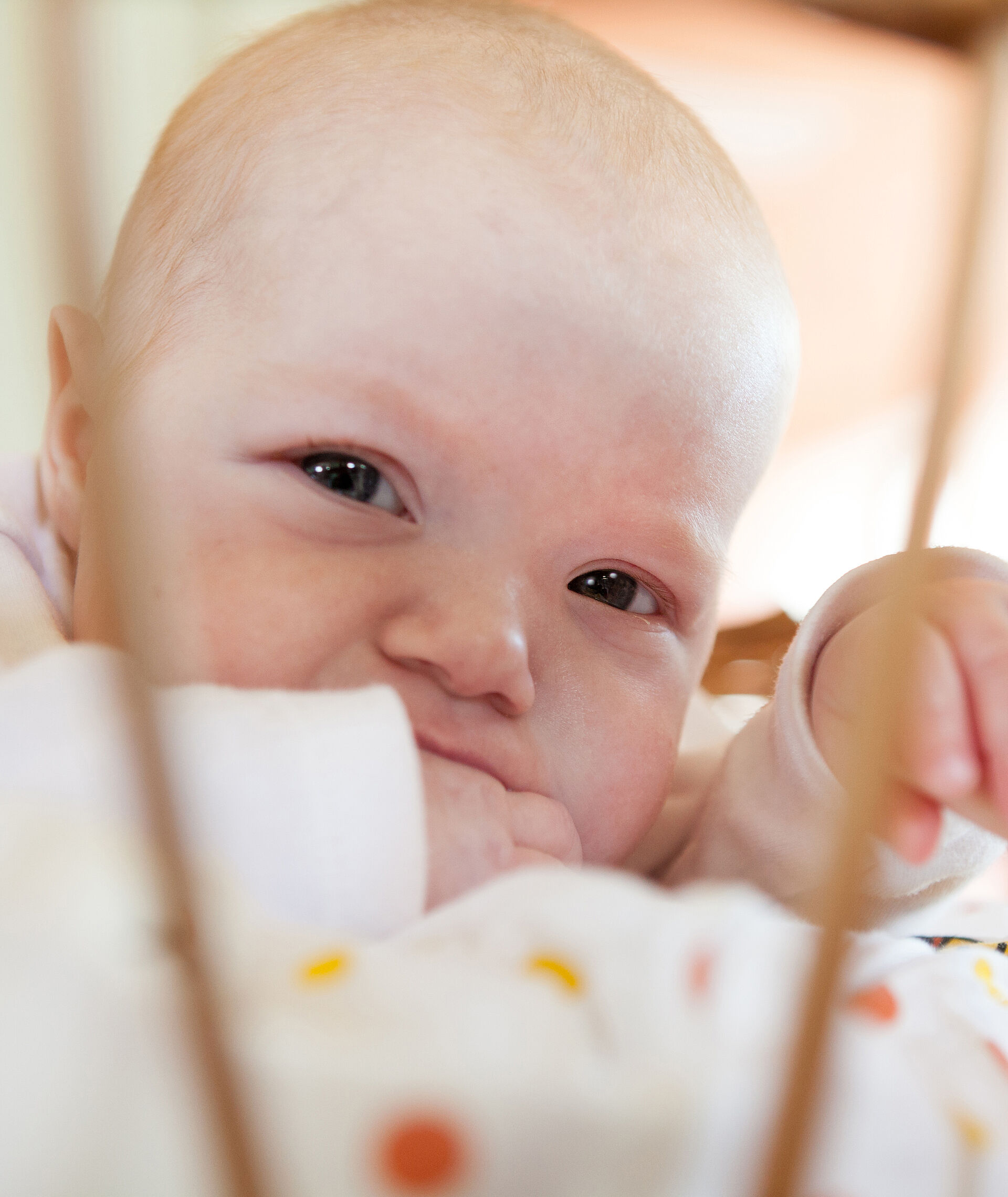 Gemeinsam wachsen - die Eltern-Baby-Gruppe 