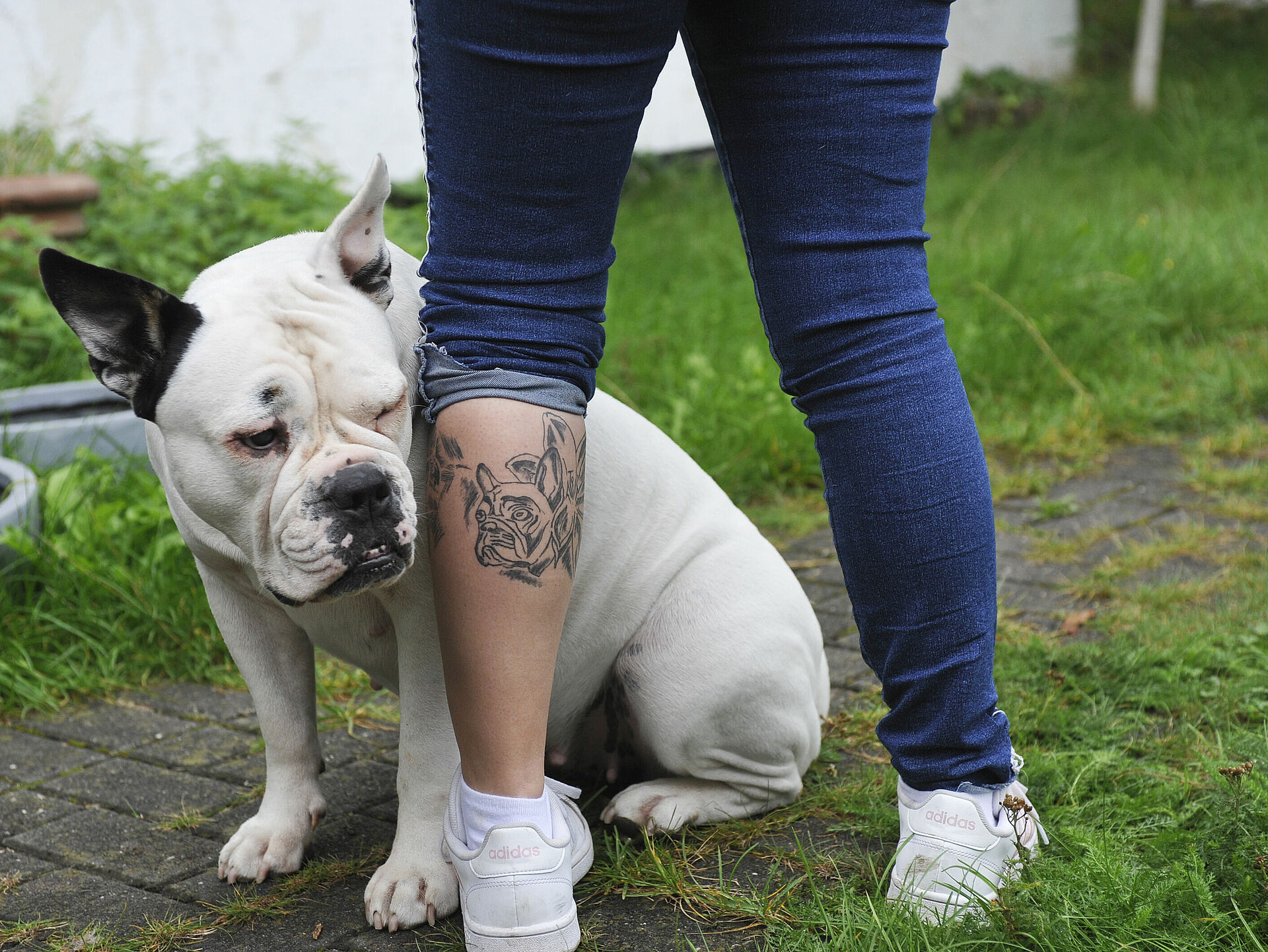 Zwei Häuser für Wohnungslose